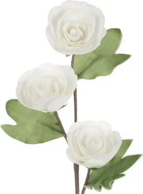 Obrázek produktu pro Flore 716 Délka 77 cm Délka s květy 35 cm Průměr květu 12 cm Bílý