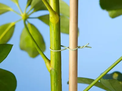 Produktbild von Warentuin Producten