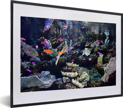 Produktbild von MuchoWow® MuchoWow® Gerahmtes Poster Buntes Aquarium 40x30 cm - Poster mit zchwarzem Bilderrahmen - Bilderrahmen - Poster im Rahmen