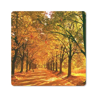 Produktbild von MuchoWow® Mauspad Mousepad Wald - Herbst - Jahreszeiten - Ländlich 30x30 cm - Mousepads - Maus Mat - Pad - Mausunterlage - Gaming
