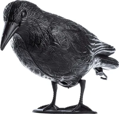 Produktbild von KADAX Schwarz Rabe, Taubenabwehr und Taubenschreck aus Kunststoff, Vogelabwehr, natürliche Schädlingsbekämpfung, Schutz vor lästigen Vögeln