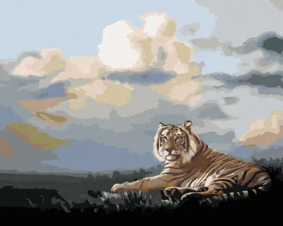 Produktbild von Zuty - Malen nach Zahlen - LIEGENDER TIGER UND WOLKEN (D. RUSTY RUST), 40x50 cm, mit Keilrahmen (bereits gespannt)