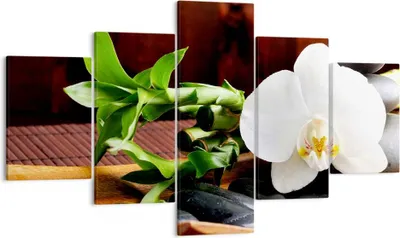 Produktbild von Bild auf Leinwand - Leinwandbild - Bambus Schönheit Dekoration Blume - 125x70cm - Wand Bild - Wanddeko - Leinwanddruck - Bilder - Kunstdruck - Leinwand bilder - Wandkunst - EA125x70-2166