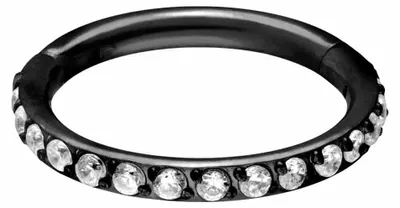 Produktbild von Ohrpiercing, Nasenpiercing, Septum Piercing Titan Segmentring Clicker EINGEFASSTE KRISTALLE Schwarz Innendurchmesser: 8mm + Stabstärke: 1,2mm