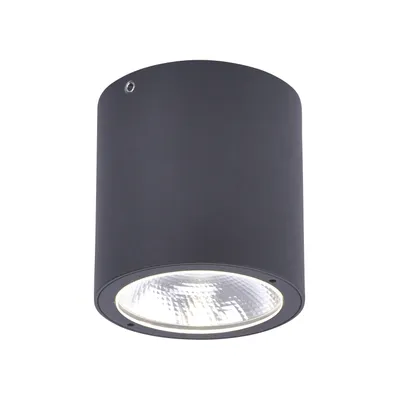 Produktbild von Paul Neuhaus LED Außendeckenlampe Georg Deckenlampe Außen Downlight IP54 warmweiß Eingang anthrazit Außenbereich, Innenbereich 9673-13