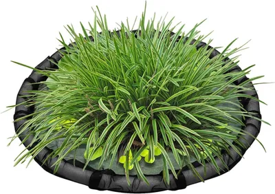 Productafbeelding van Drijvend planteneiland - Vijverplant ring - Vijver decoreren - Fijnmazig net - 45 cm - Niet gespecificeerd