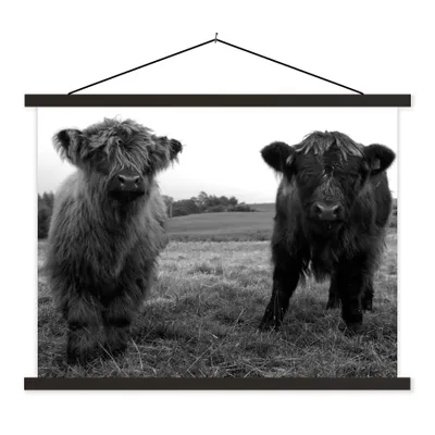 Produktbild von MuchoWow® Textilposter Schottische Highlander - Kühe - Natur - Grün - Gras 60x45 cm mit schwarzem Rahmen - Poster Schlafzimmer