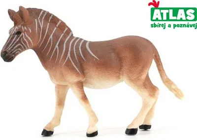 Zdjęcie produktu dla C - Figurka Zebra Quagga 12,5 cm