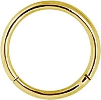 Produktbild von Karisma Edelstahl 316L Hinged Segmentring Charnier/Conch Clicker Ring Piercing Ohrring Stärke 1,2mm Farbwahl - 1,2x8mm | Gold