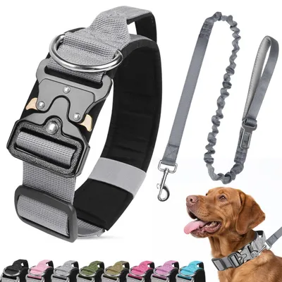 Immagine prodotto di Collare e guinzaglio per cani, grigio, imbottiti, regolabili, con maniglia e fibbia in metallo