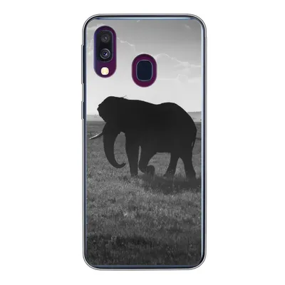 Produktbild von MuchoWow® Handyhülle Schutzhülle Hülle für Samsung Galaxy A40 Elefant - Einfarbig - Tiere - Schwarz und weiß Silikon Softcase Handy Hülle - Handy-Tasche