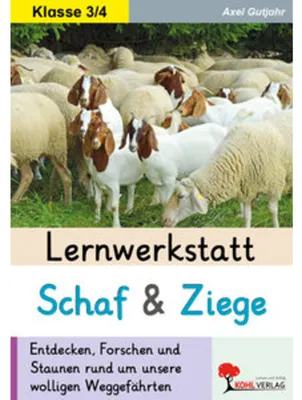 Produktbild von Lernwerkstatt Schaf und Ziege