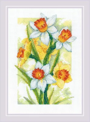 Zdjęcie produktu dla Zestaw do haftu krzyżykowego Riolis "Frühlingsglühen. Żonkile", wzór liczony, 21x30cm