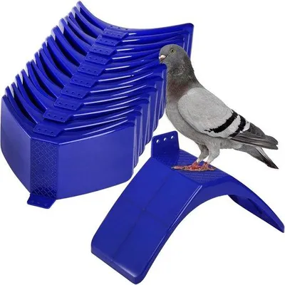 Imagen del producto de 20 piezas de comederos para pájaros – Fabricados en plástico ligero – Soporte para comedero – Adecuados para loros y otras aves