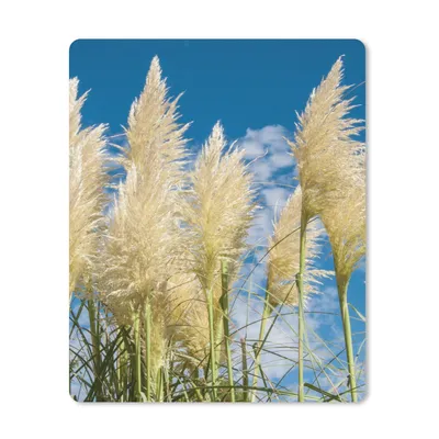 Produktbild von MuchoWow® Mauspad Mousepad Pampasgras - Pflanze - Natur 19x23 cm - Mousepads - Maus Mat - Pad - Mausunterlage - Mauspads - Spielen