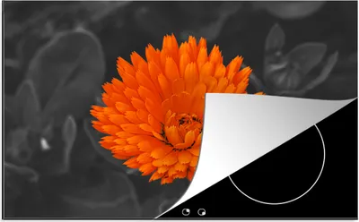 Produktbild von KitchenYeah© Herdabdeckplatte Blumen - Orange - Schwarz - Weiß , 81x52cm, Küche Deko, Glaskeramikkochfeld Herdabdeckung, Abdeckplatte fùr Kochfeld