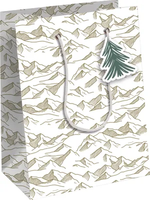 Produktbild von Clairefontaine 6x Höhenlage Geschenktasche 21,5x10,2x25,3cm - Weiß X-32802-3C