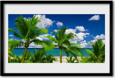 Produktbild von Bild 60x40 MDF-Rahmen Wandkunst Meer Palmen Landschaft