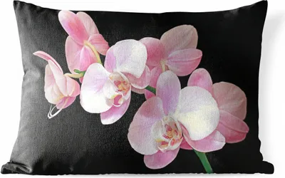 Produktbild von MuchoWow® Outdoor Kissen - Eine Nahaufnahme von rosa Orchideen auf einem schwarzen Hintergrund - 50x30 cm - Wetterfest - Lounge Kissen - Sofa kissen - Wohnzimmer Dekoration