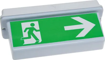 Produktbild von ChiliTec 21653 LED Fluchtwegleuchte "NL-D2" 30 LEDs Erkennungsw. 25m, Deckenmontage, IP65