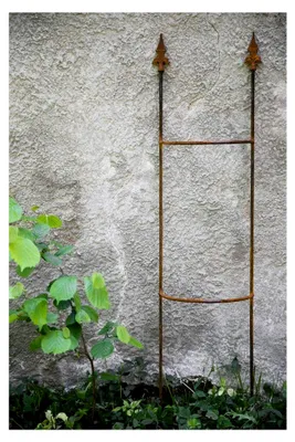 Produktbild von Robustes Rankgitter aus Metall, Rostfarben, 120x35 cm – Steckzaun für Kletterpflanzen