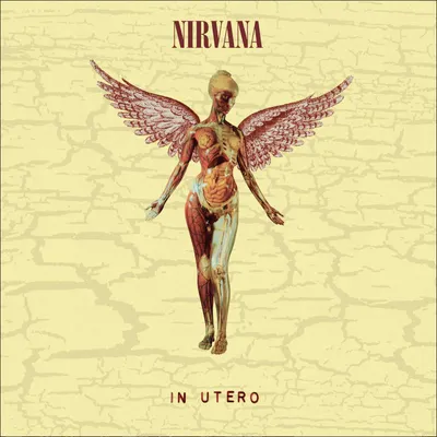 Obrázek produktu pro Nirvana - In Utero (Limited Edition) (LP + 10" Vinyl)