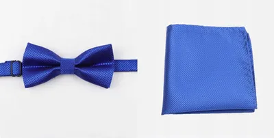 Produktbild von Ankani 005MPD Elegantes Set: Herren Fliege & Einstecktuch Blau