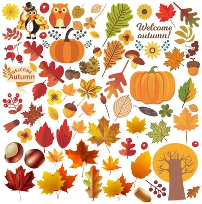 Fensteraufkleber-Set, 6 Bogen, Herbstblätter, Ahorn, Eicheln, Kürbis, 72 Stück