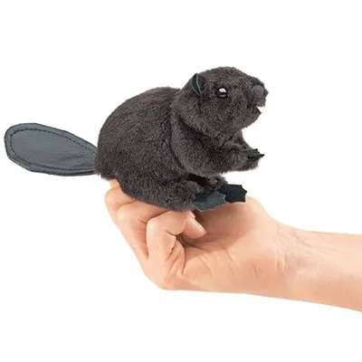 Produktbild von Folkmanis Beaver, Fingerpuppe, Tier, 1 Stück(e)