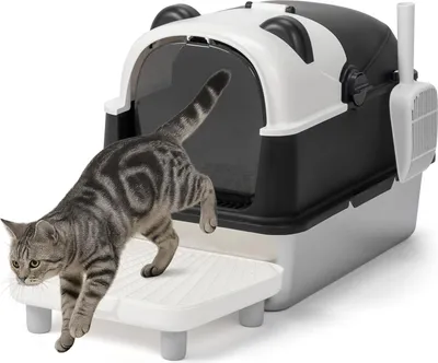 A cat is stepping onto a mat in front of a closed litter box.