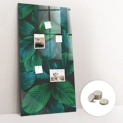 Obrázek produktu pro Magnetická Tabule na Zeď Skleněná - Memo Board Kleněnou Přední Stranou - 5 magnetů v balení - 60x120 cm - Velké tropické listy