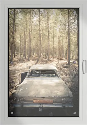 Produktbild von Wallario Lichtschutzbild, Dekorativer Sichtschutz Sonnenschutz 60 x 93 cm mit Motiv: Verrosteter Oldtimer im Wald - Verdunklung ohne Bohren