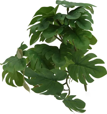 Produktbild von Plastikschildkrötenblatt-Rattansimulations-Reptilien-Terrariumpflanze für Bartagamen-Eidechsen-Gecko-Schlangen-Lebensraumdekoration