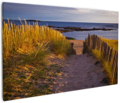 Produktbild von Wallario Premium Leinwandbild Weg durch die Dünen zum Meer an der Küste in Größe 60 x 90 cm