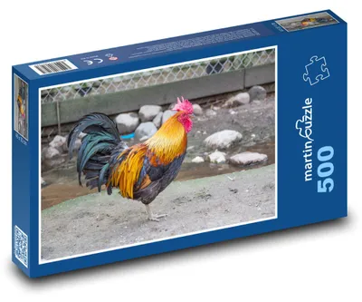 Zdjęcie produktu dla martinpuzzle - Puzzle 500 - Farma - kogut