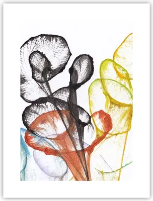 Produktbild von Poster - Poster ohne Rahmen - Blumen Abstraktion Surrealismus - 30x40 cm - Wand Bild - Wanddeko - Wandbilder - Kunstposter - Wandposter - Bilder - Kunstdruck - Wanddekoration - P2XPA30x40-4444