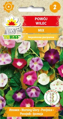 Zdjęcie produktu dla Powój wilec MIX 3g