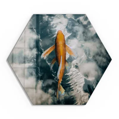 Produktbild von DEQOART Glasbild Echtglas 40x35 cm 'Goldfisch im Wolkenmeer' Wandbild Bild modern Deko