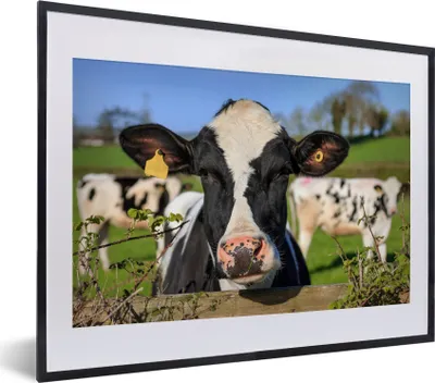 Produktbild von MuchoWow® MuchoWow® Gerahmtes Poster Kuh - Zaun - Gras - Tiere 40x30 cm - Poster mit zchwarzem Bilderrahmen - Bilderrahmen - Poster im Rahmen