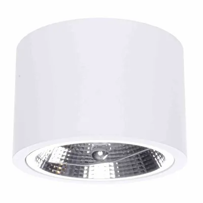 Image de Spot 1 x 35 W ES111 ROND ML5697 Milagro