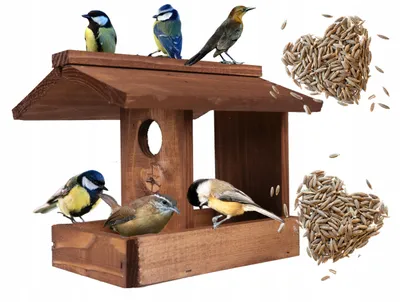 Produktbild von EcoDeco Vogelhaus zum Aufhängen, wetterfestes Holz-Futterhaus für Vögel, 23x21x19 cm, mit Aufhängeschnur für Balkon und Garten
