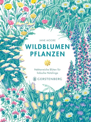 Produktbild von Wildblumen pflanzen
