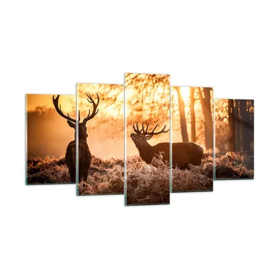 Produktbild von Bilder auf glas - Deer Heidekraut Tier - 160x85cm - Glasbilder - Wandbilder - Kunstdruck - zum Aufhängen bereit - Wanddekoration aus Glas - Glas Bilder - Wandbild auf Glas - 5 Teile - GEA160x85-3043