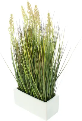 Produktbild von Kunstpflanze Gras 46cm Porzellan Topf – Ziergras