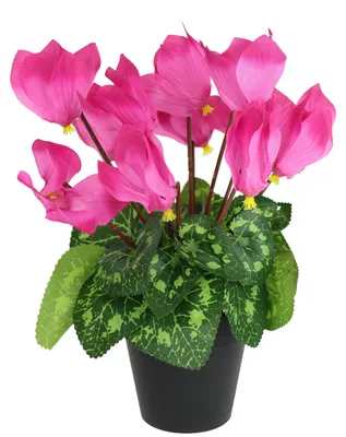 Immagine prodotto di Viola alpina artificiale in vaso, decorazione floreale, pianta decorativa, ideale per la primavera