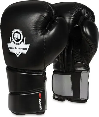 Obrázok produktu pre Boxerské rukavice DBX BUSHIDO B-2v9 10oz.
