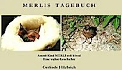 Produktbild von Merlis Tagebuch