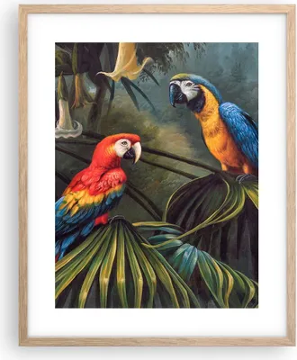 Produktbild von Gerahmtes Poster - Rahmen in heller Eiche - Ara Papageien Palmen - 40x50 cm - Wand Bild - Wanddeko - Wandbilder - Kunstposter - Wandposter - Bilderrahmen - Bilder - Kunstdruck - P2NPA40x50-4780