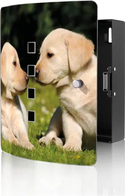 Zdjęcie produktu dla Skrzynka na klucze banjado Design ze stali nierdzewnej na 10 kluczy, wymiary 24 x 21,5 x 7 cm, z zamknięciem magnetycznym, wzór Labrador [BWSK 10200]