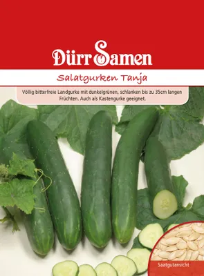 Produktbild von Dürr-Samen - Salatgurken Tanja - Saatgut - 1843